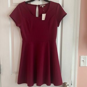 Charlotte Russe Raspberry pink a-line skater dress NWT Size Juniors M